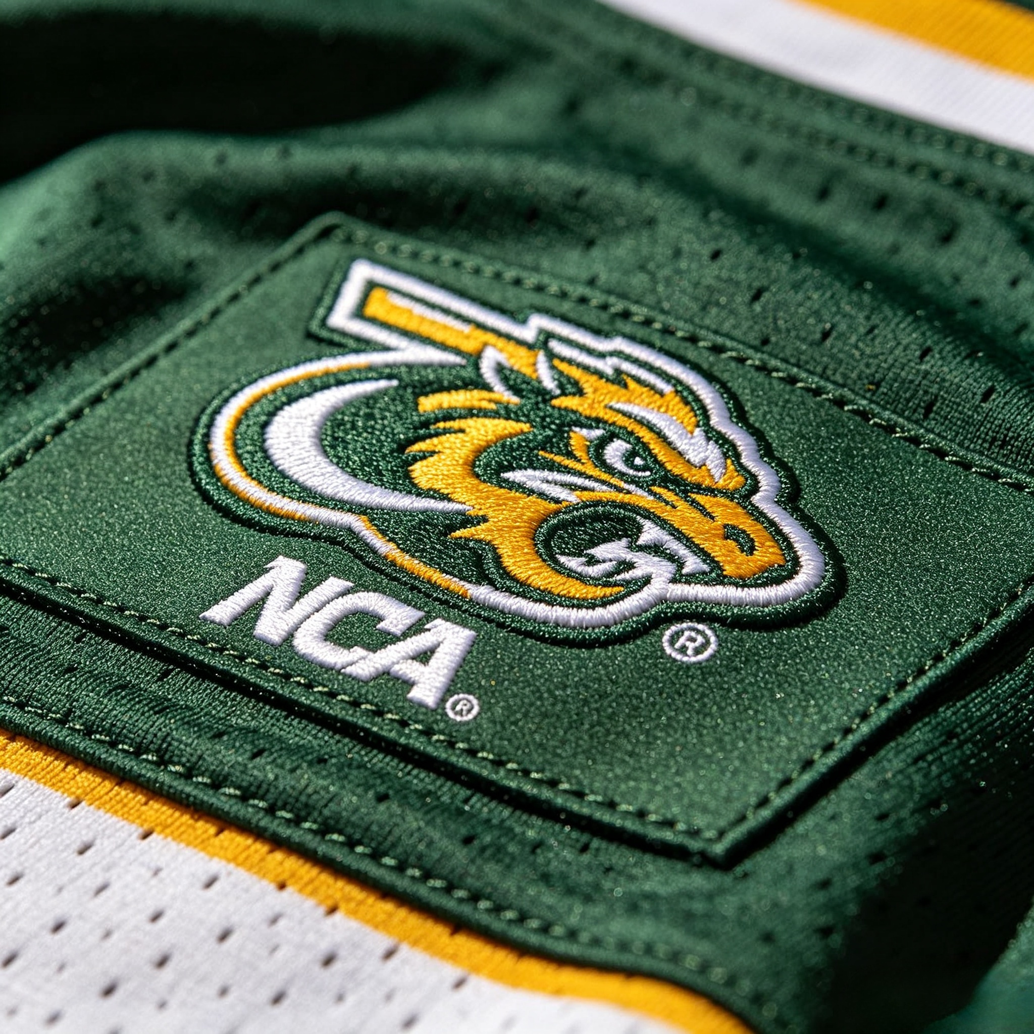  High-quality stitched NCAA jersey